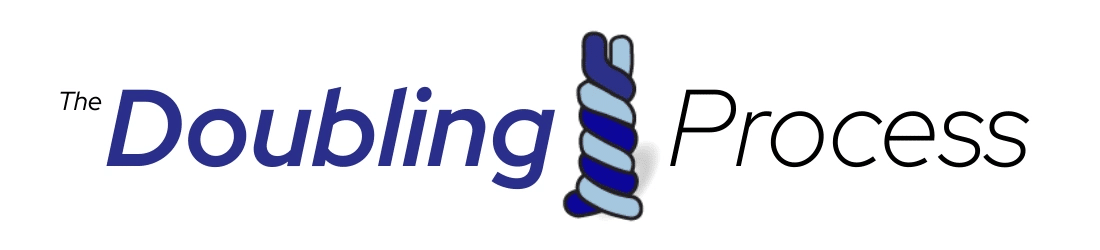 The Doubling Process The Doubling Process